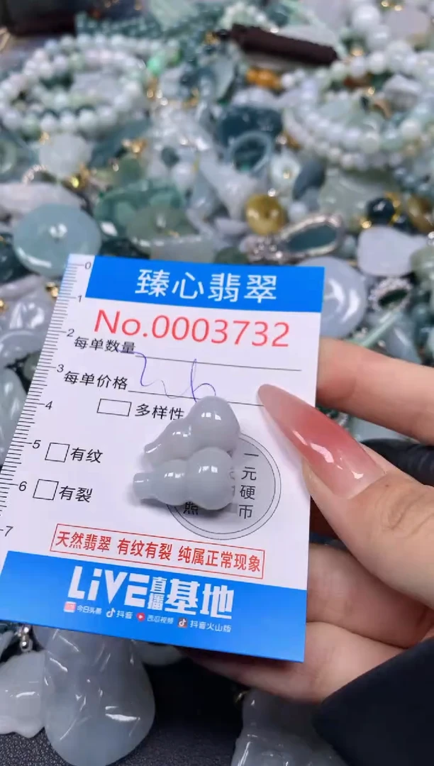 【闪购商品】翡翠颈饰未镶嵌含绳0003732