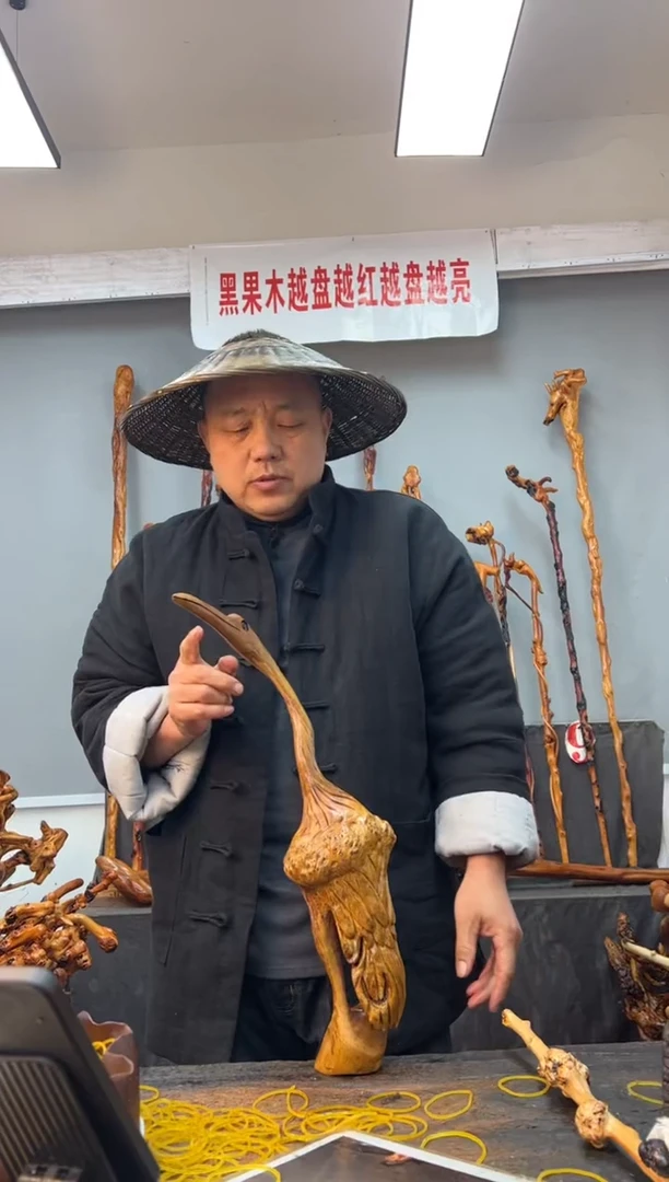 【闪购商品】黑果木其他黑果木216