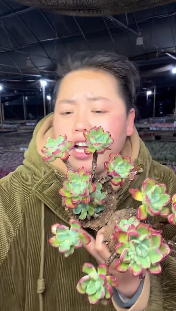 【闪购商品】107-九米之光两颗5.8