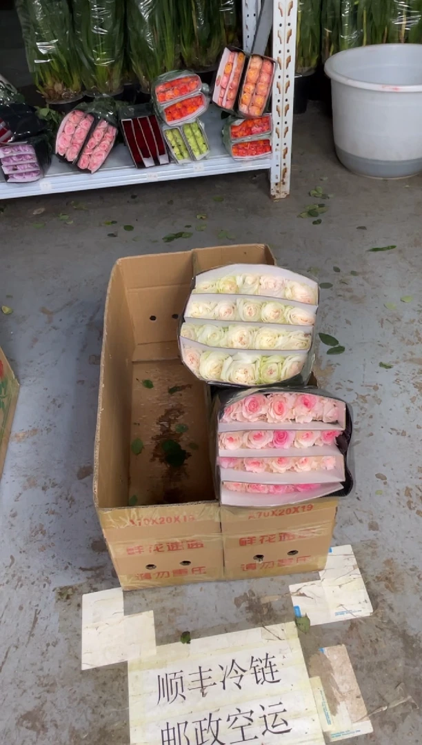 洛神20枝+白荔枝20枝