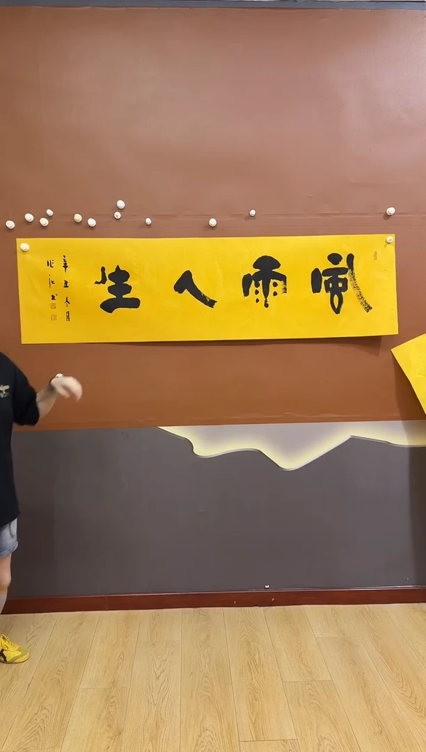 书法风雨人生作品