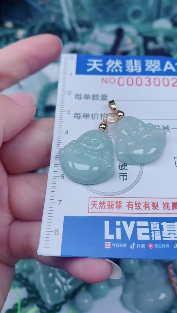 颈饰未镶嵌翡翠00003002
