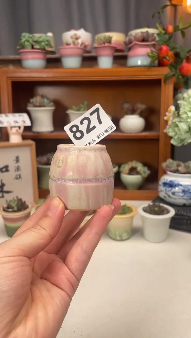 瓷片827知木小芳花盆