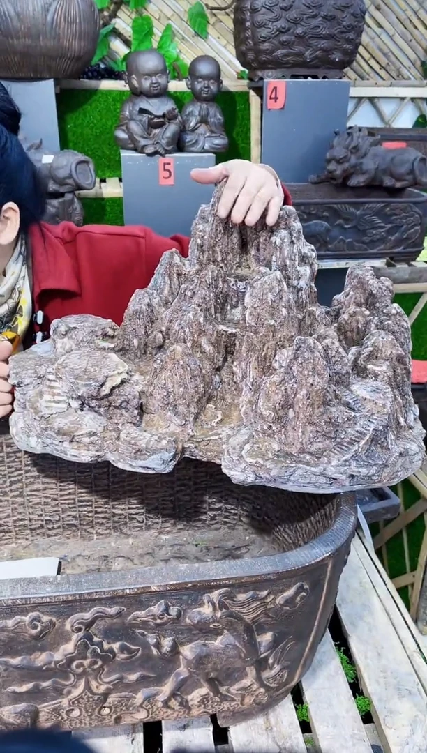 【闪购商品】复合盆T2