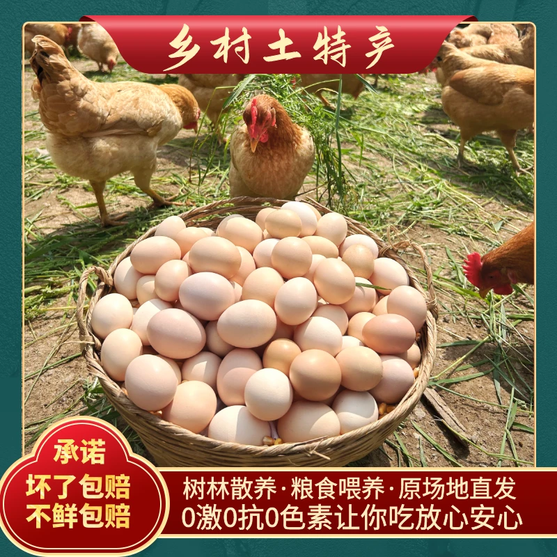农家散养土鸡蛋新鲜初生蛋柴鸡蛋营养健康早餐笨鸡蛋