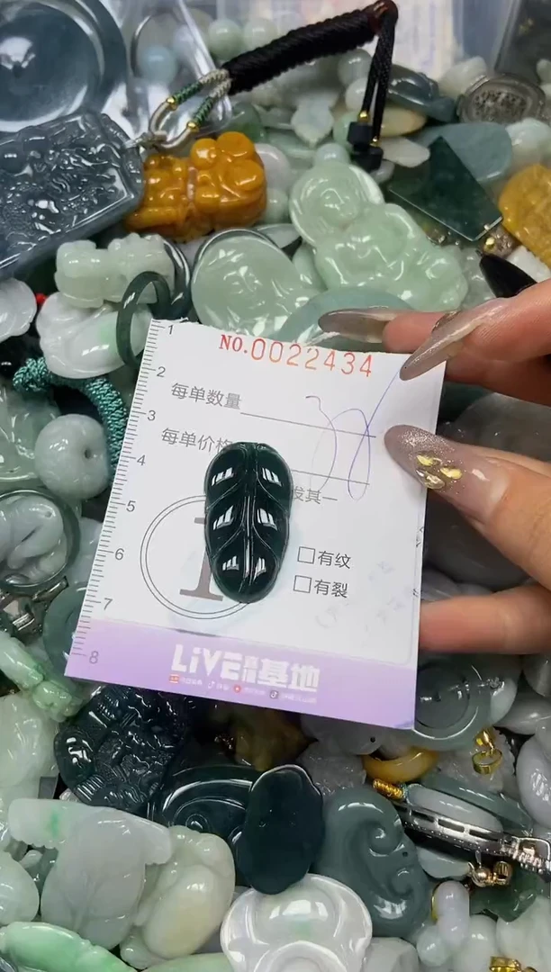 【闪购商品】翡翠颈饰未镶嵌闪购0022434