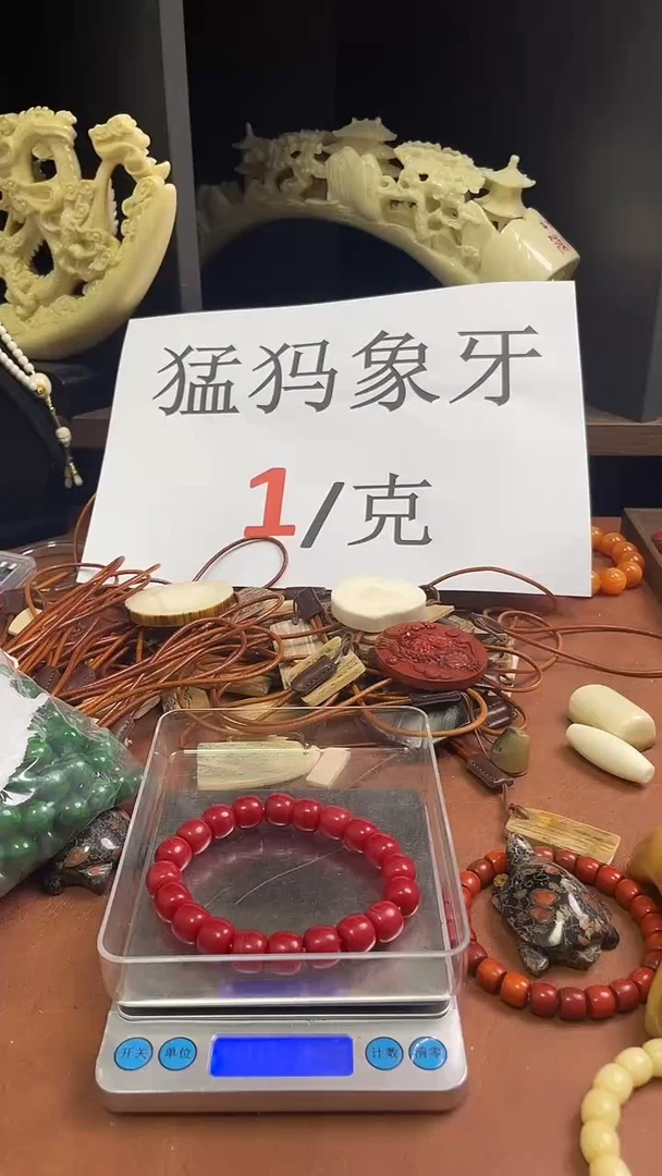 猛犸阿卡12*11m老型单圈