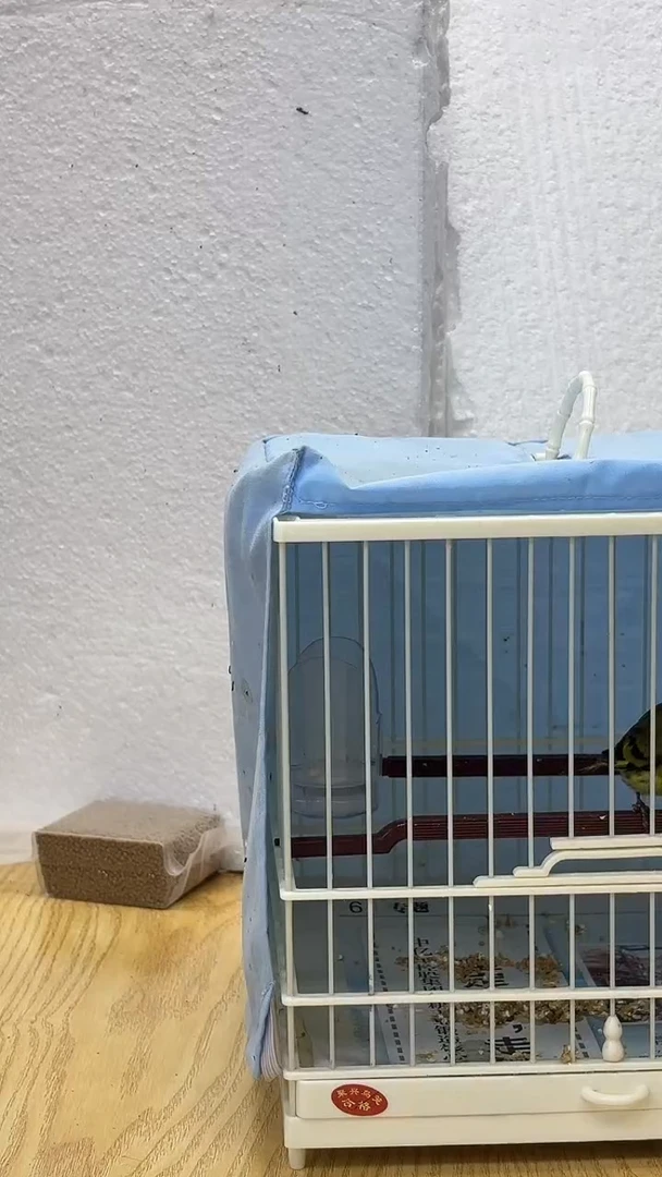 96号黄雀养笼0元起拍