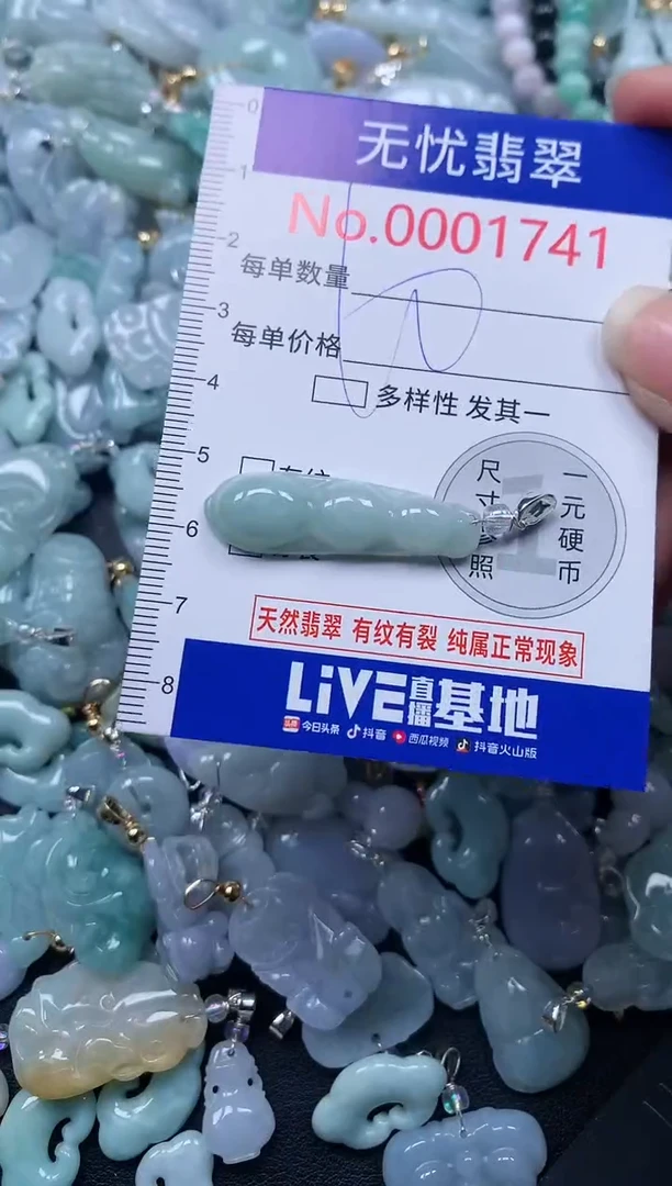 颈饰未镶嵌翡翠1741