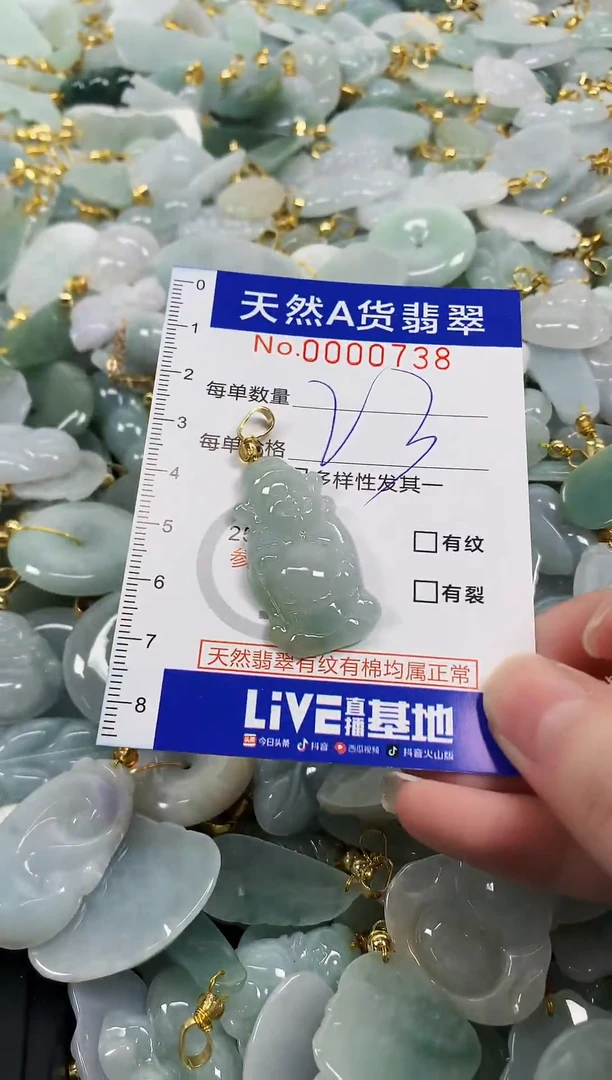 颈饰未镶嵌翡翠天然a货翡翠