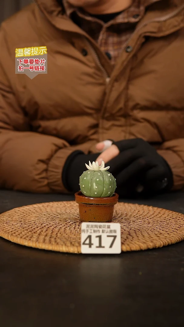 瓷片417 景德镇泥泥陶瓷