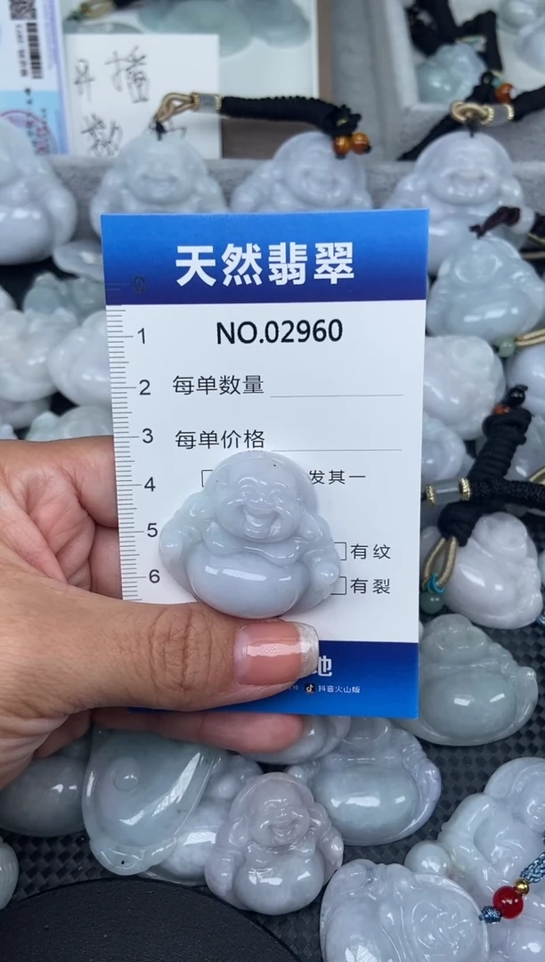 颈饰未镶嵌翡翠纯天然A货翡翠2960