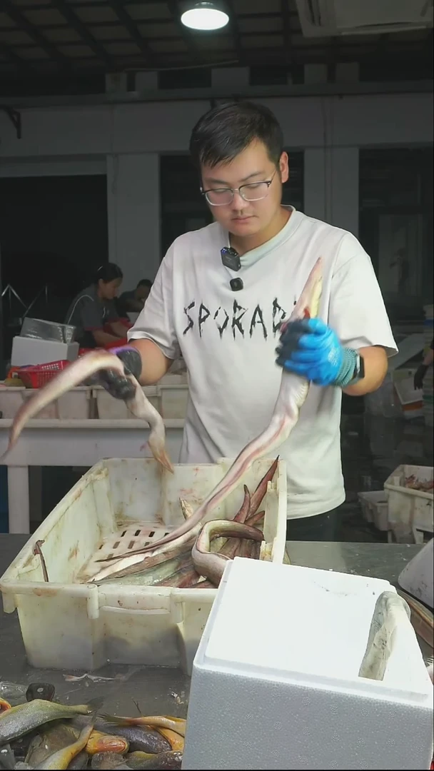罗老板东海野生青鳗鱼