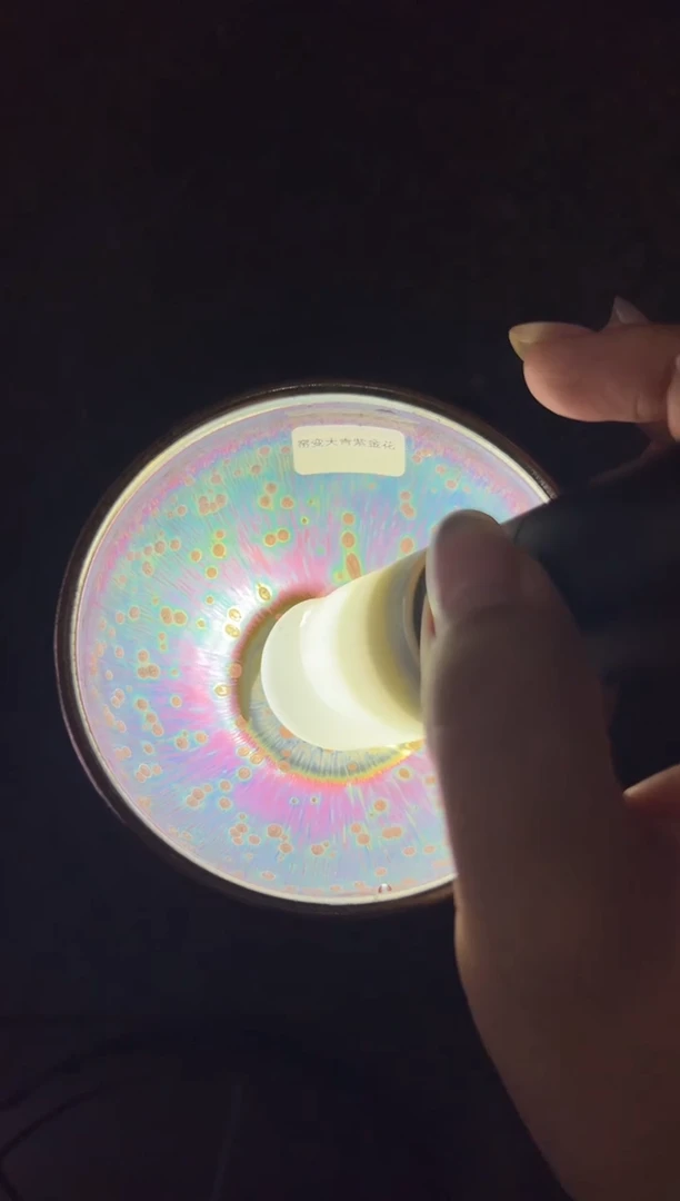 茶盏胡金花精品分享14