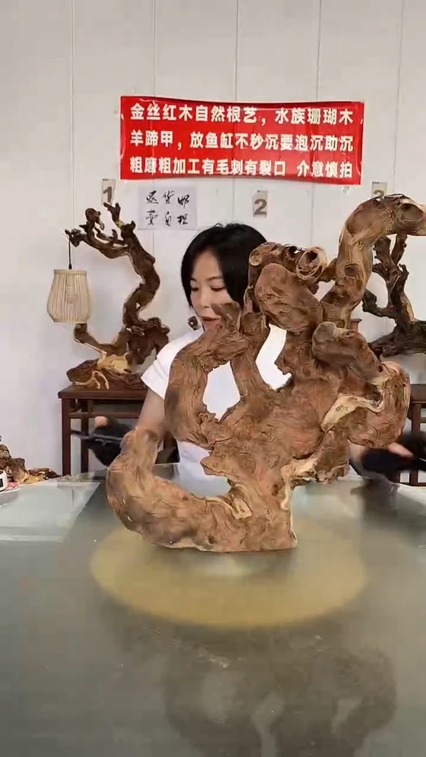 香榧木金丝红木 羊蹄甲
