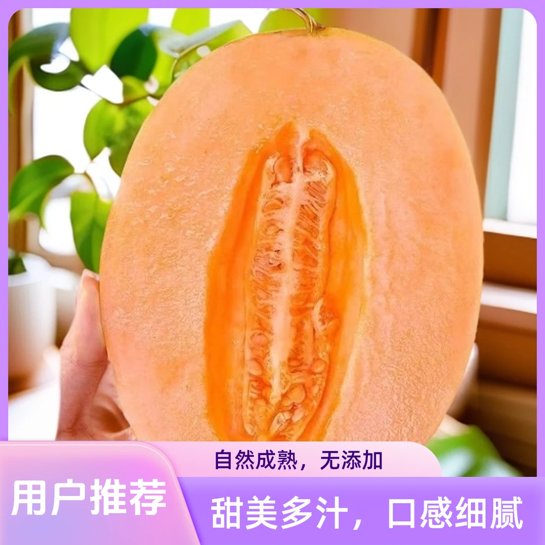 新疆正宗吐鲁番黄金蜜三号哈密瓜清脆香甜解渴解暑神器