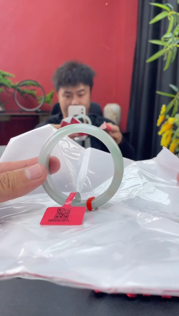 未镶嵌手镯翡翠8