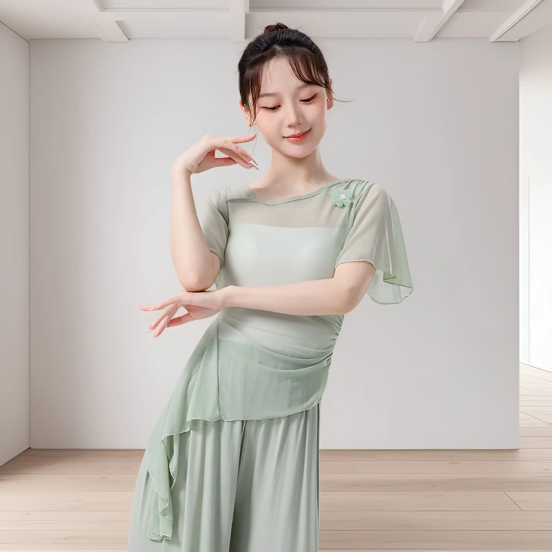 古典舞蹈服上衣女夏季新款修身短袖网纱花朵现代舞飘逸演出练功服