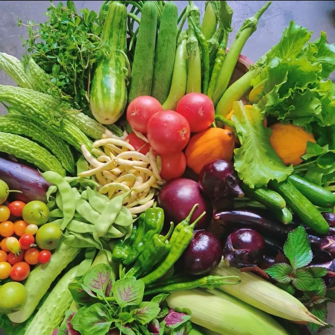 【蔬菜拼盘】应季蔬菜拼盘组合菜新鲜蔬菜kg送货上门江苏省