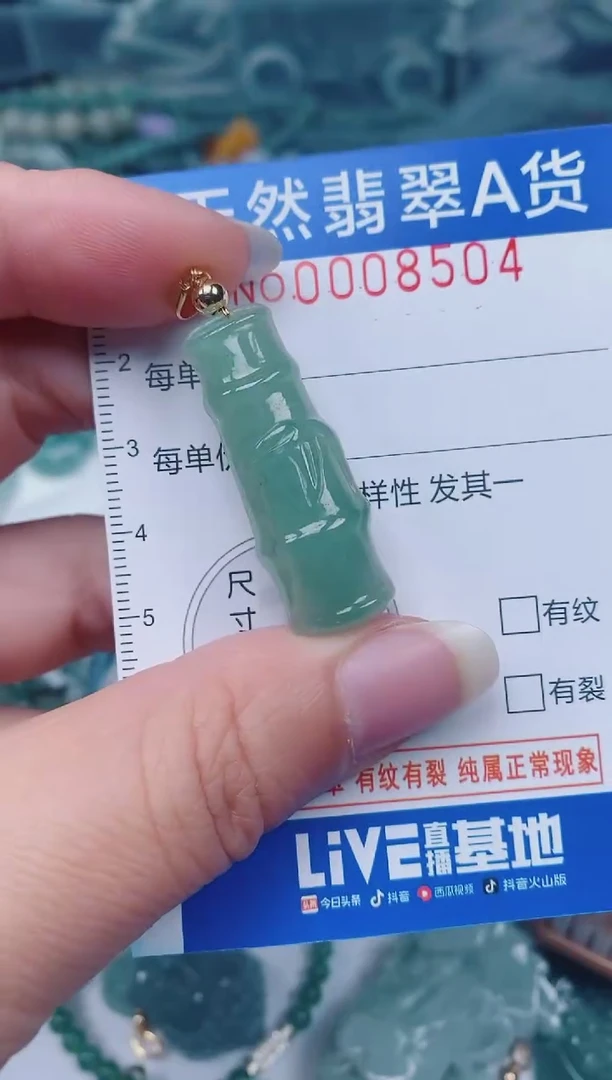 颈饰未镶嵌翡翠00008504