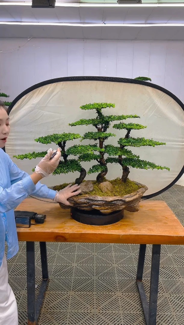 无花朵一物一拍一物一拍