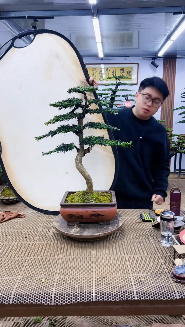 【闪购商品】一物一拍，所见即所得