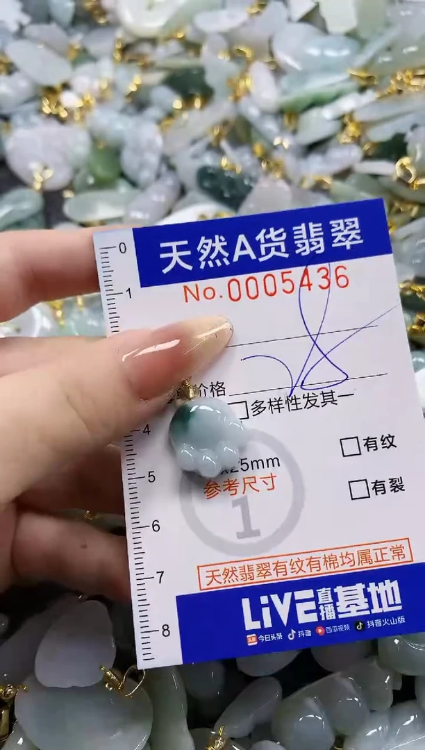 颈饰未镶嵌翡翠天然A货翡翠