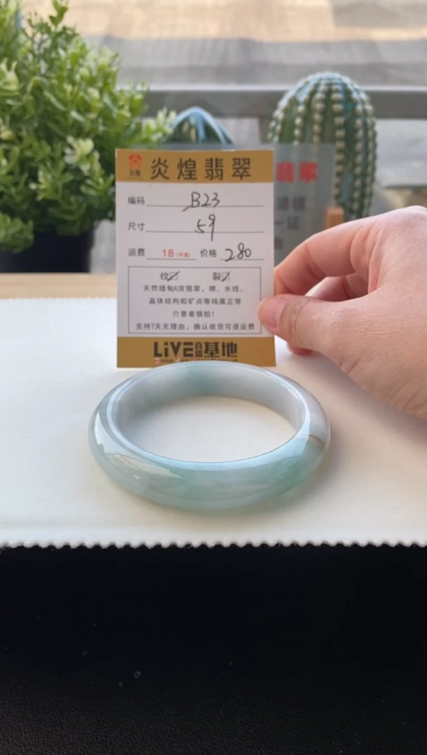 未镶嵌手镯翡翠59.3圈口 编码B23