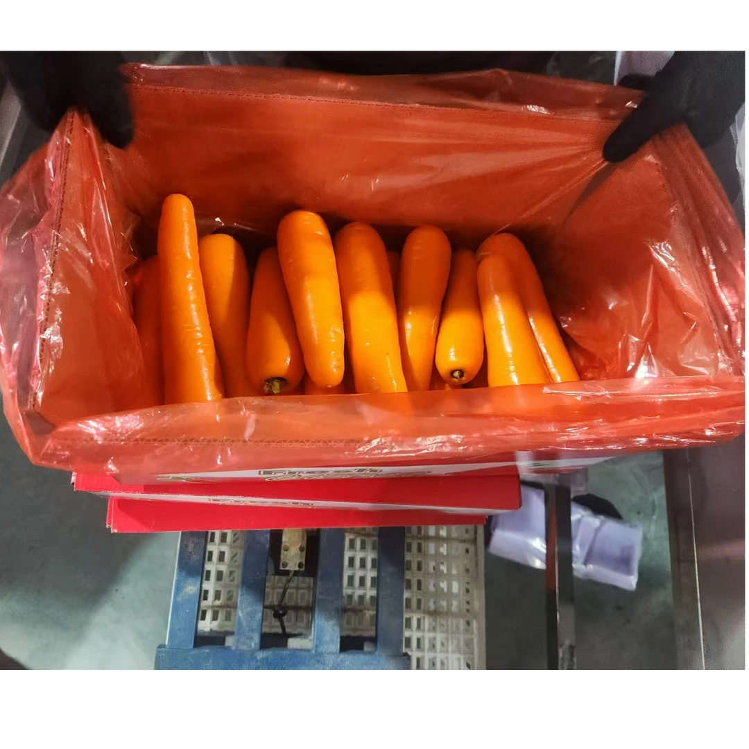 食极星测评推荐 精品水果型胡萝卜