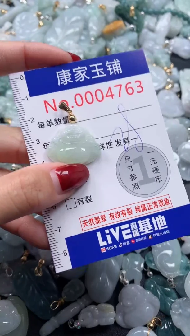 颈饰未镶嵌翡翠4763