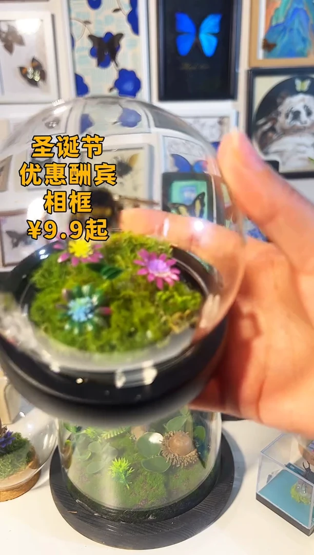 有机玻璃xio熊蜂1111玻璃罩