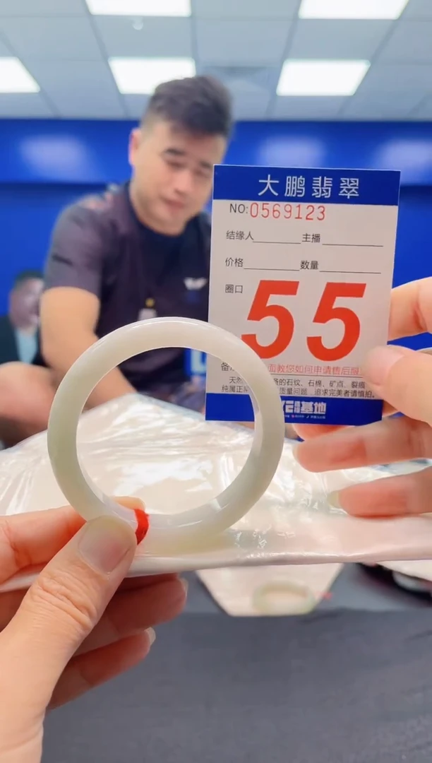 未镶嵌手镯翡翠AAAAAAAAA