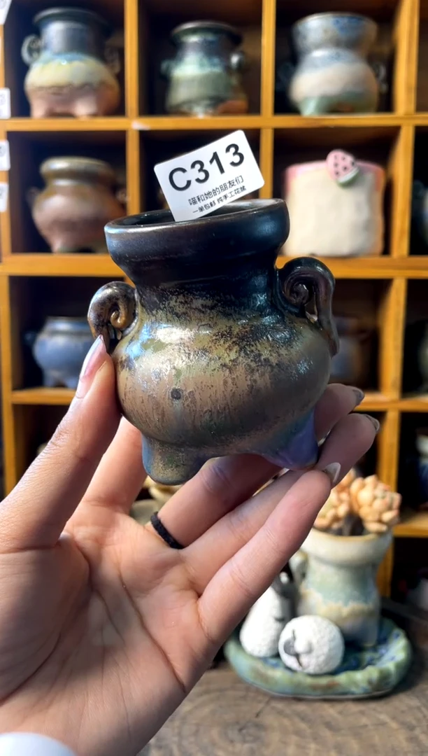 313内口4【多肉花盆多肉盆】