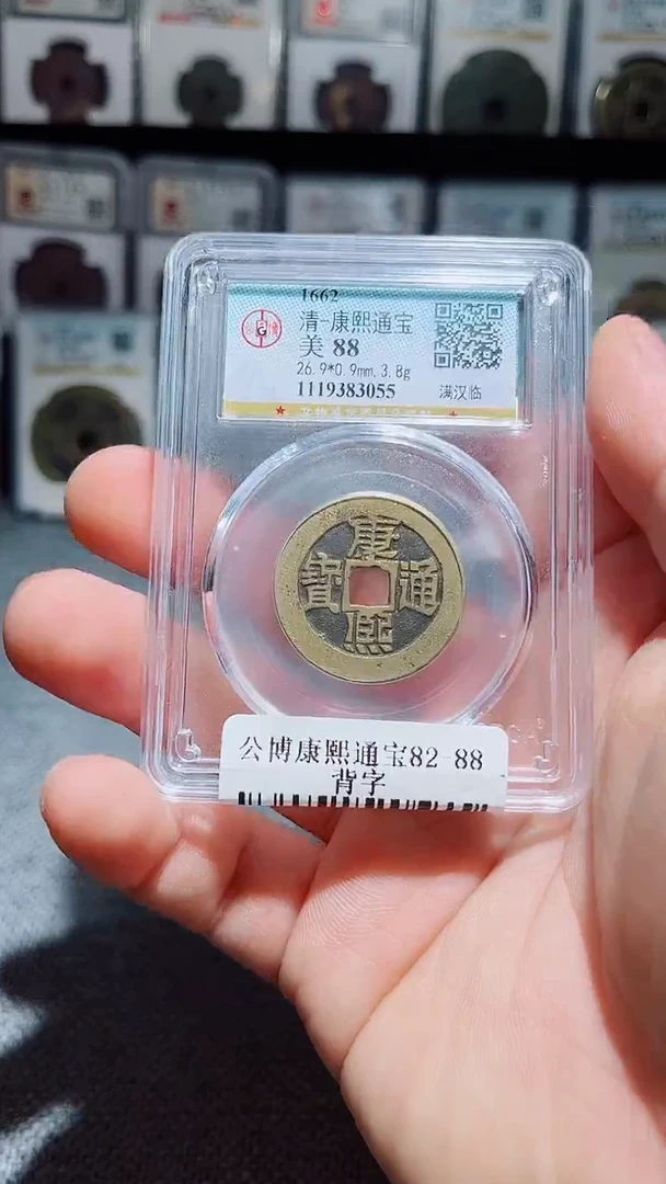 铜A042风公博康熙通宝背字88分3055