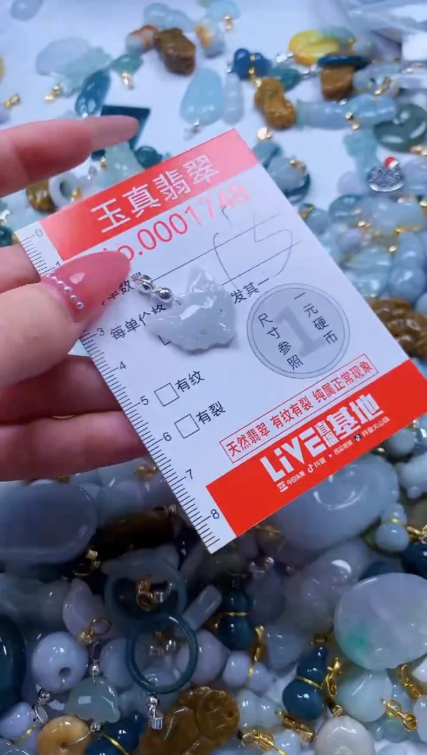翡翠未镶嵌吊坠(不含链)1748