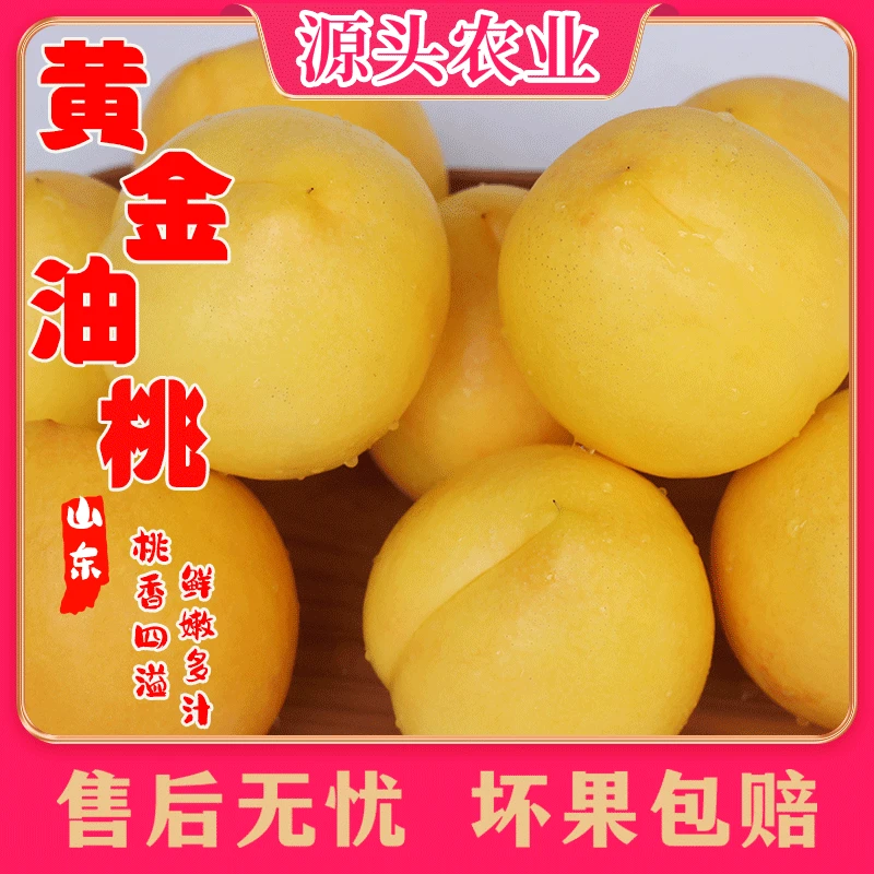 【精品大果】辽宁黄金油桃脆甜多汁新鲜采摘带箱3斤装顺丰 S