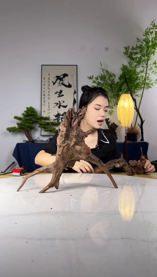 小*拍这个定向编36