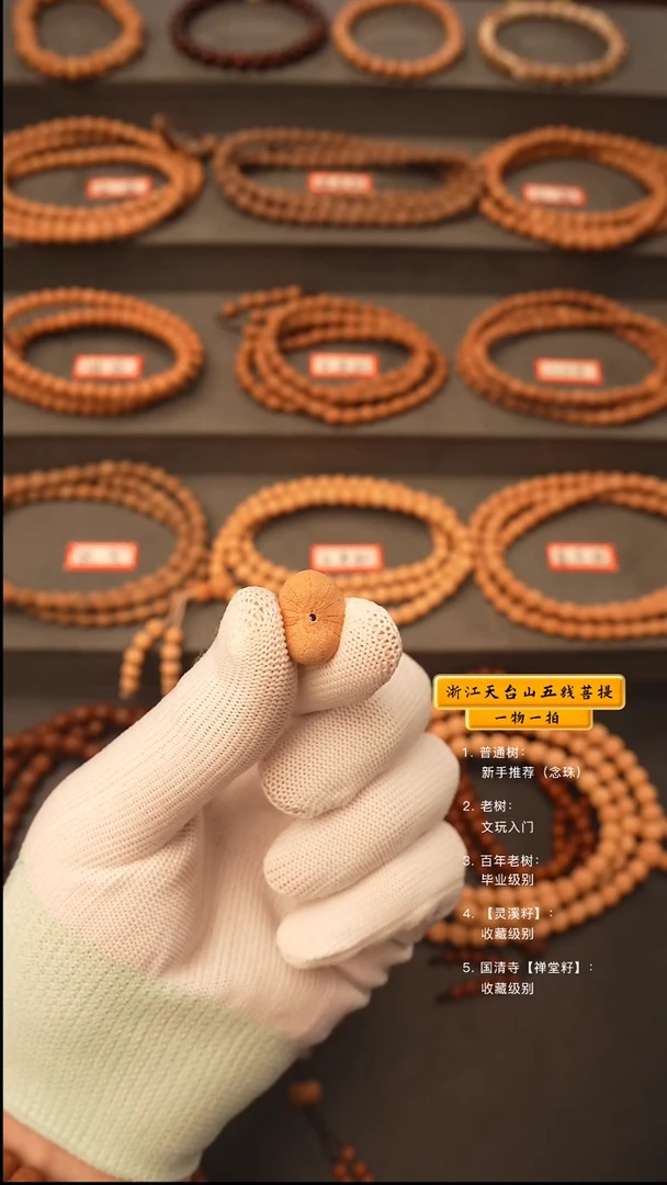 吊坠五线菩提起****。手串