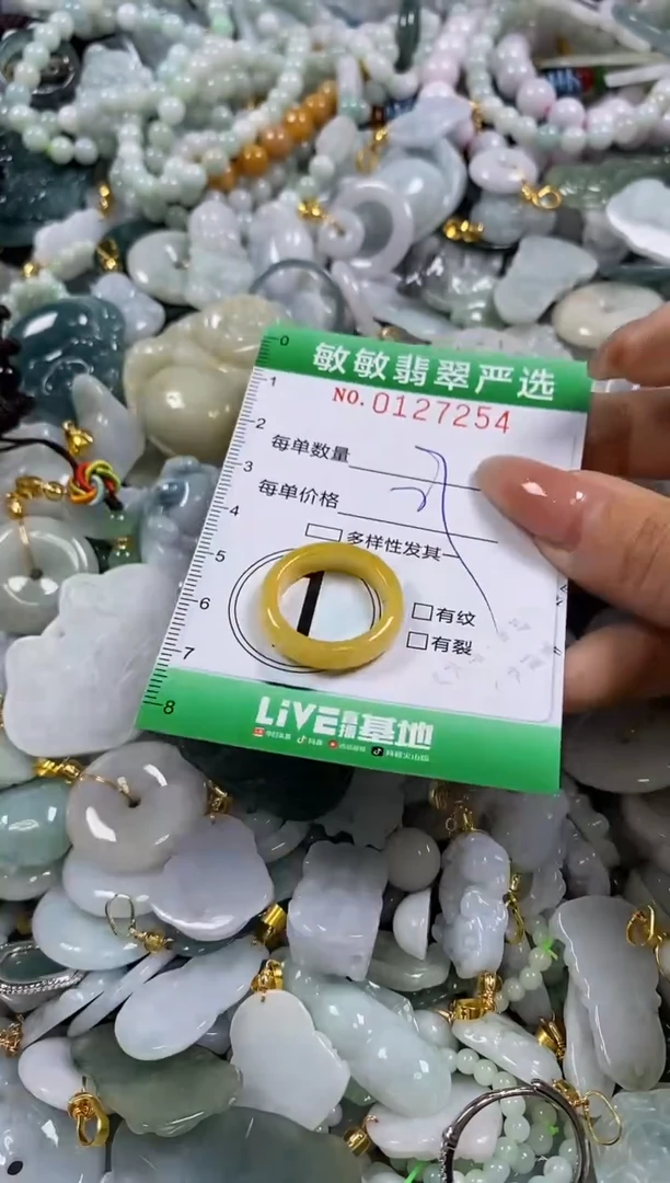 【闪购商品】翡翠颈饰未镶嵌闪购0127254