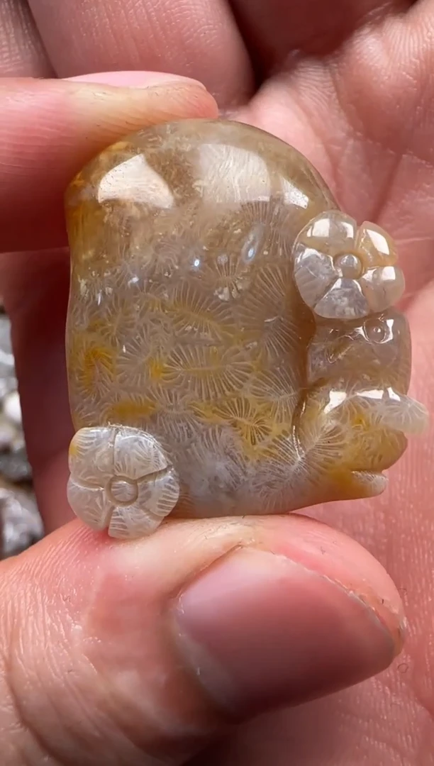 【闪购商品】硅化珊瑚（珊瑚玉）颈饰未镶嵌074