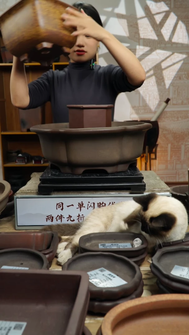 【闪购商品】紫砂庆15+庆36+紫泥花脚六方