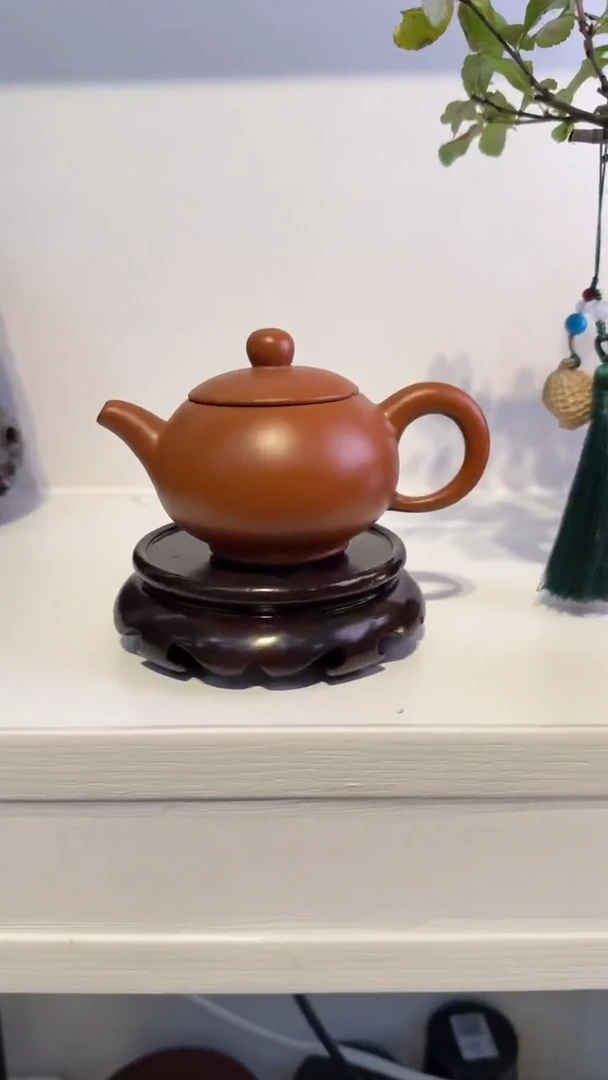 1紫砂紫砂紫砂紫砂紫砂