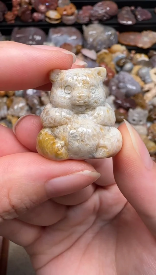 硅化珊瑚（珊瑚玉）未镶嵌颈饰377