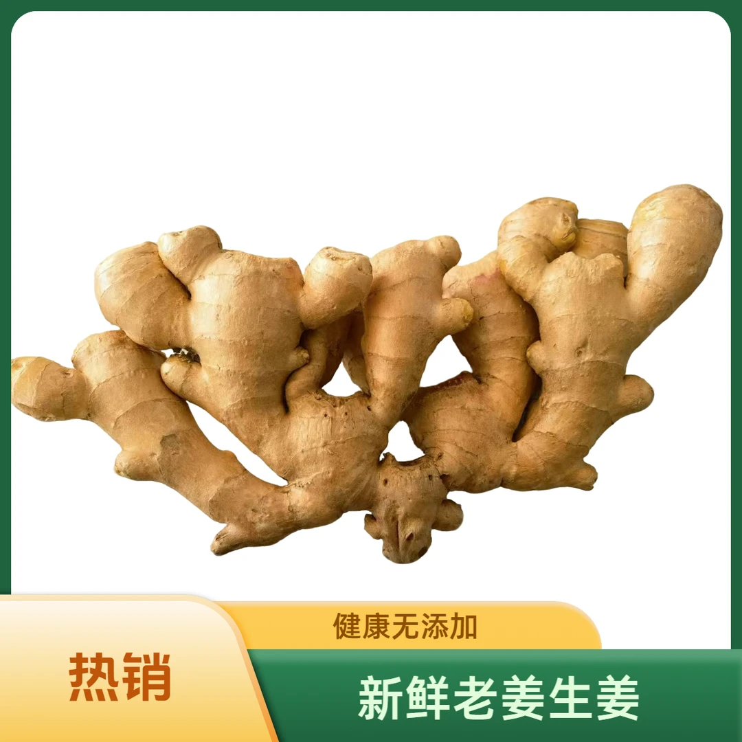 24年风干大姜水洗精品大姜正宗农家自种风干新鲜辛辣大姜包邮