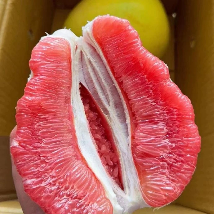 高山老树正宗梅州红心柚三红柚当季孕妇水果现摘现发中果50斤装