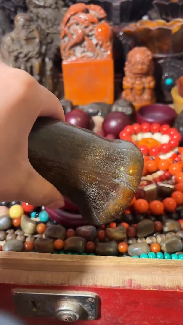 其他牛骨如图所示闪购链接