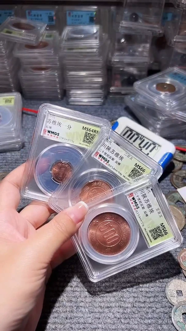 铜不下播丹/苏维埃3/13号