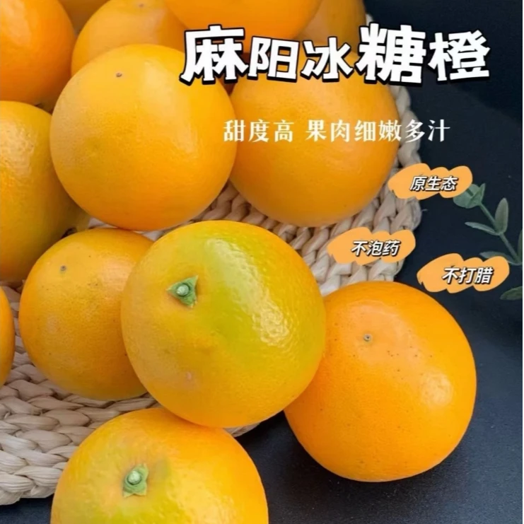 【新疆包邮】湖南麻阳冰糖橙2.5公斤