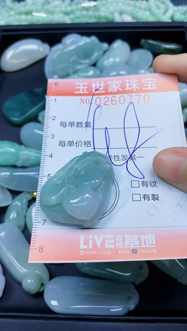 翡翠未镶嵌颈饰闪购0279770