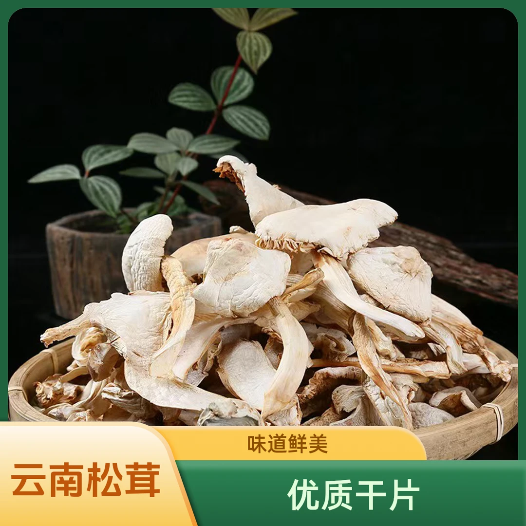 【云南特产松茸菌】干片香格里拉松茸菌菇炖肉正品